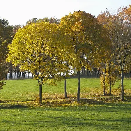 شقة Kunsthaus Waldchen